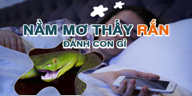 Giới thiệu về mơ thấy rắn đánh con gì