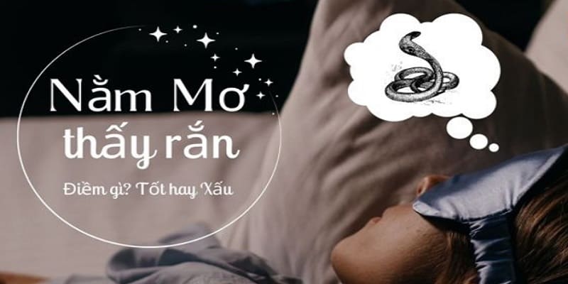 Nằm Mơ Thấy Rắn Cắn Có Thể Lựa Chọn Số Gì