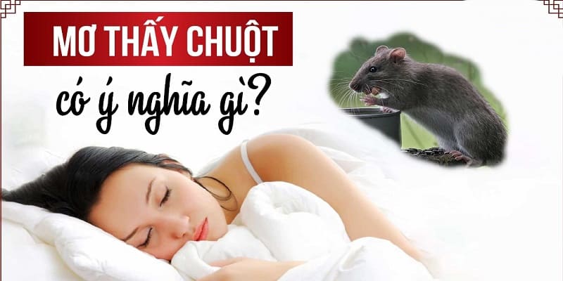 Giải mã ý nghĩa khi mơ thấy chuột 