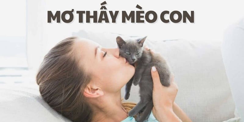 Nằm mộng thấy mèo con