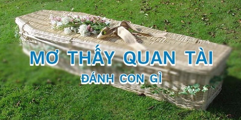 Mơ Thấy Quan Tài Với Những Trải Nghiệm Khác Lạ