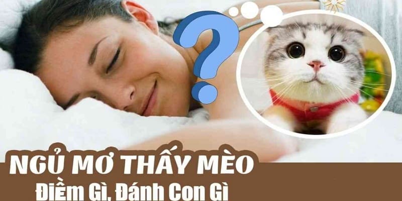 Nằm Mơ Thấy Mèo Và Cách Giải Mã Chi Tiết Nhất