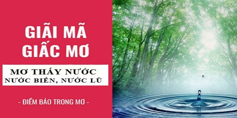 Giải mã ý nghĩa nằm mơ thấy nước