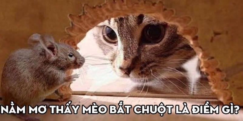 Nằm mơ thấy mèo bắt chuột