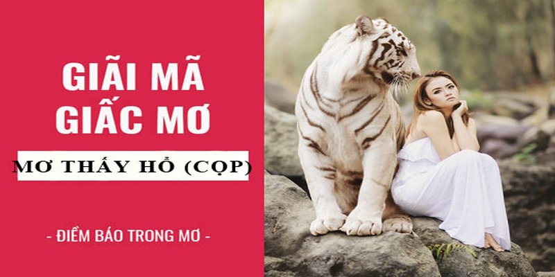 Giải đáp thông điệp chi tiết khi mê thấy hổ